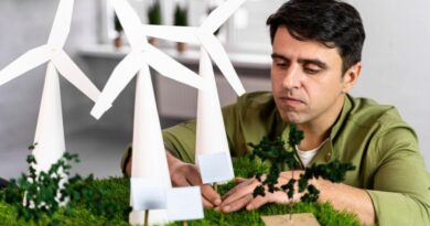 Wasserstoffwirtschaft CO₂-Neutralität