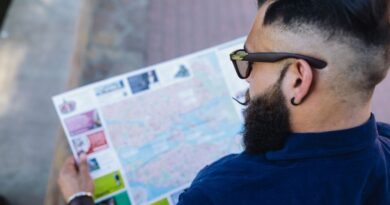 Masterplan Digitalisierung Österreich