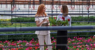 Gründach Urban Farming Luxemburg