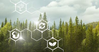 Green ICT-Anreize Österreich
