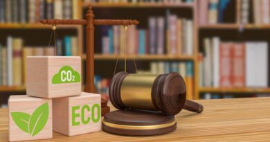 Luxemburg CO2-Steuerpolitik EU Vergleich