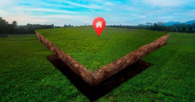 Green-Blockchain-Projekte DACH-Region