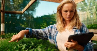 Urban Farming Technologien Österreich