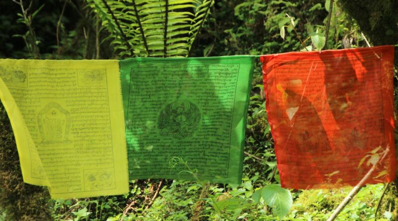 Ökosoziale Projekte in Belgien