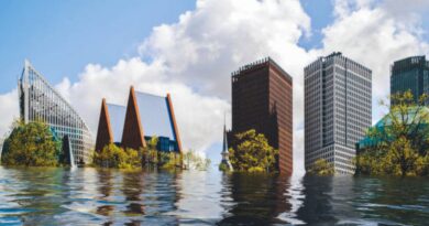 KI-Projekte gegen Hochwasser