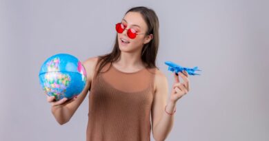 ueberraschende belgische luftfahrt exportziele