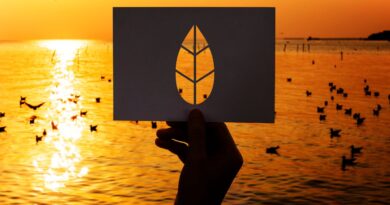 klimaanpassung startups kuestenschutz