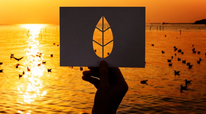 klimaanpassung startups kuestenschutz