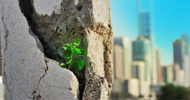 Städtische Resilienz stärken