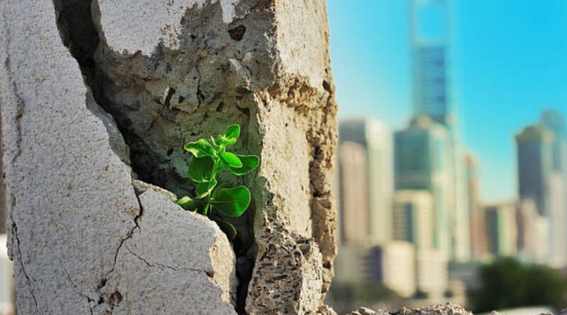Städtische Resilienz stärken