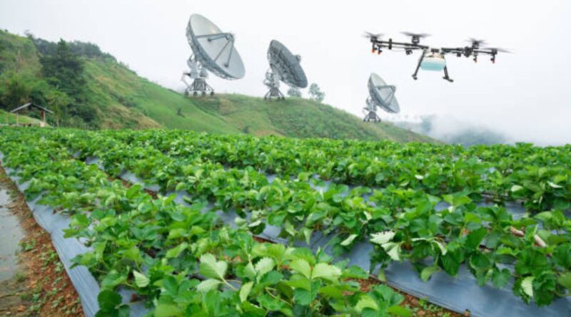 satellitenbildgebung intelligente landwirtschaft