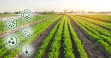 Nachhaltige Landwirtschaft