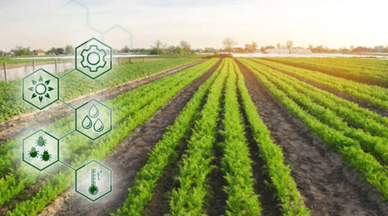 Nachhaltige Landwirtschaft