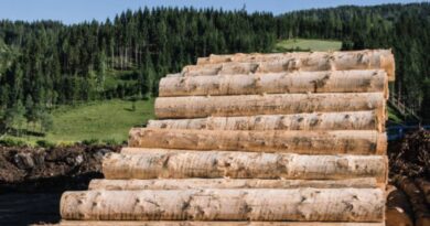 Nachhaltige Holz- Papierindustrie Österreich