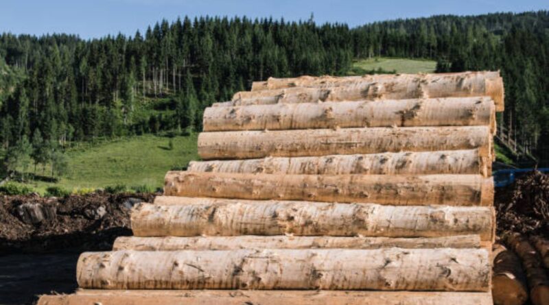 Nachhaltige Holz- Papierindustrie Österreich