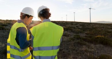 Herausforderungen Erneuerbare Energie Österreich