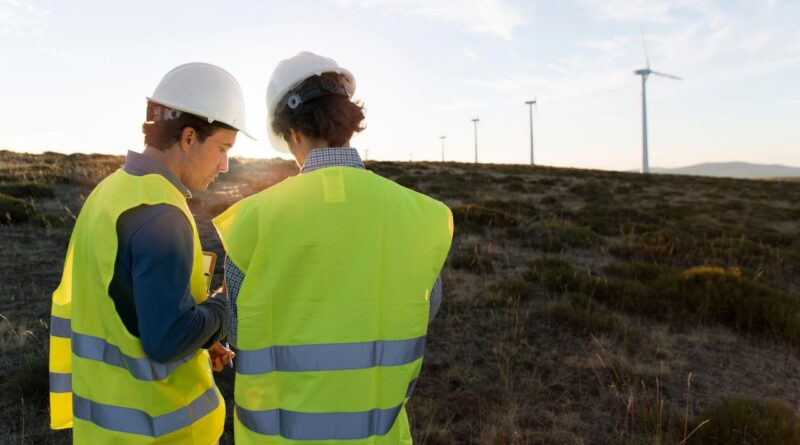 Herausforderungen Erneuerbare Energie Österreich