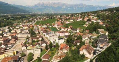 Softwareunternehmen Vaduz