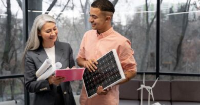 Wie Deutschland die erneuerbaren Energien revolutioniert