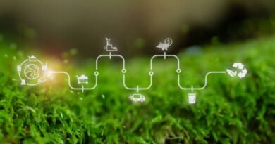 CO2-neutrale Wirtschaft Deutschland