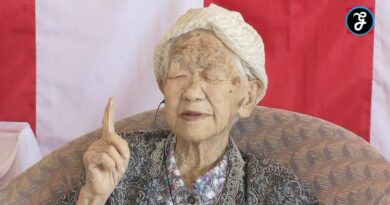 Japan Rekord Hundertjährige Frauen dominieren