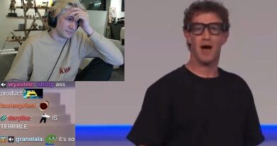 Meta KI-Brille Live-Demo Versagen