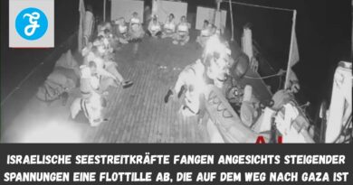 gaza hilfsflottille abgefangen israel