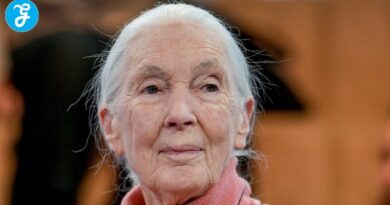 Jane Goodall stirbt mit 91