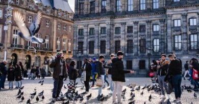 Niederlande internationale Studierende