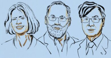 Nobelpreis Medizin 2025