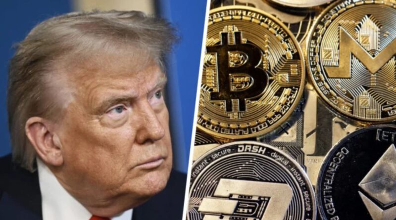 Trump Familie Krypto-Spekulationen