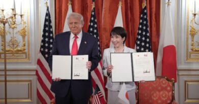 seltene erden abkommen usa japan