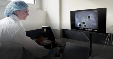 Mini-Gehirne Computer