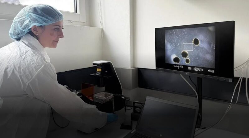 Mini-Gehirne Computer