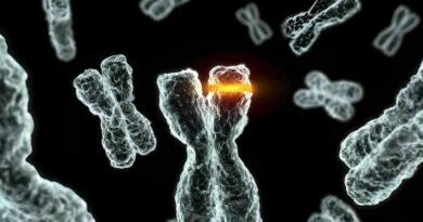 deepmind yale 27b ki krebstherapiemissile