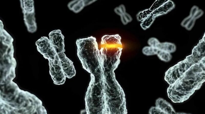 deepmind yale 27b ki krebstherapiemissile