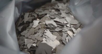 seltene erden krise deutschland china-handel ueberpruefung