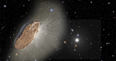 Harvard-Forscher Alien-Sonde