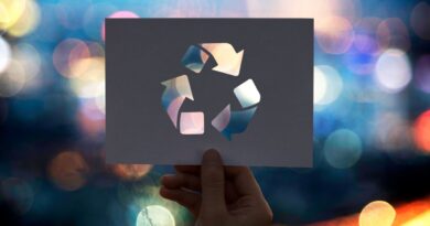 kreislaufwirtschaft belgien 2026