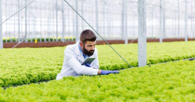 Agrartechnologie Lebensmittelinnovation Skalierung in Österreich 2026
