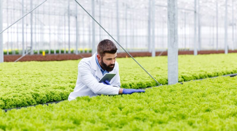 Agrartechnologie Lebensmittelinnovation Skalierung in Österreich 2026