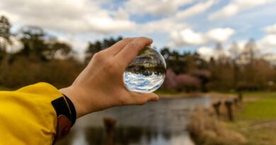 Klimaanpassung Wassertechnologie Österreich 2026