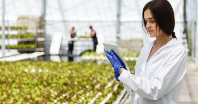 Agrartechnologie und Lebensmittelinnovationen breiten sich in der Schweiz aus