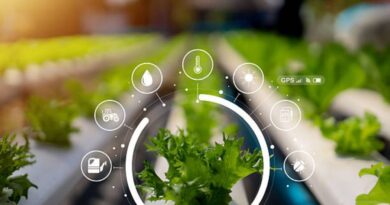 Agrartechnologie und Lebensmittelinnovationen skalieren in der Schweiz