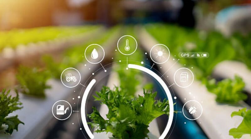 Agrartechnologie und Lebensmittelinnovationen skalieren in der Schweiz