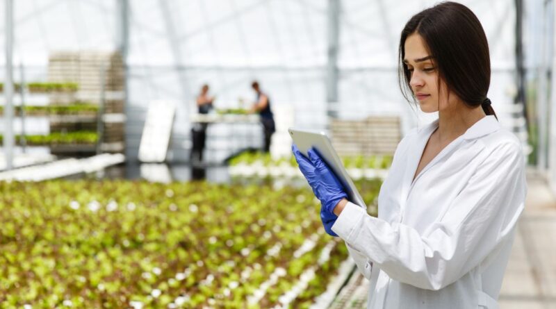 Agrartechnologie Lebensmittelinnovation Skalierung Kanada Quebec