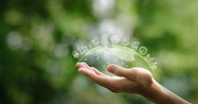 grüne Finanzierung ESG-Deals Gestaltung Österreichs