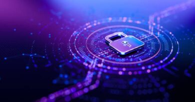 Cybersicherheit und Datenschutz in Deutschland