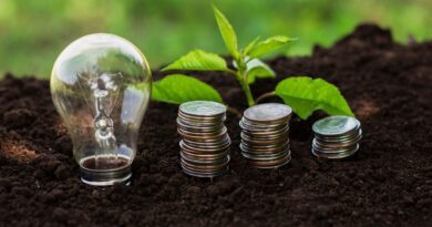 grüne Finanzen ESG Österreich