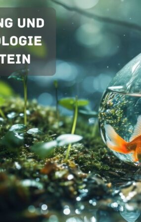 Klimaanpassung und Wassertechnologie in Liechtenstein